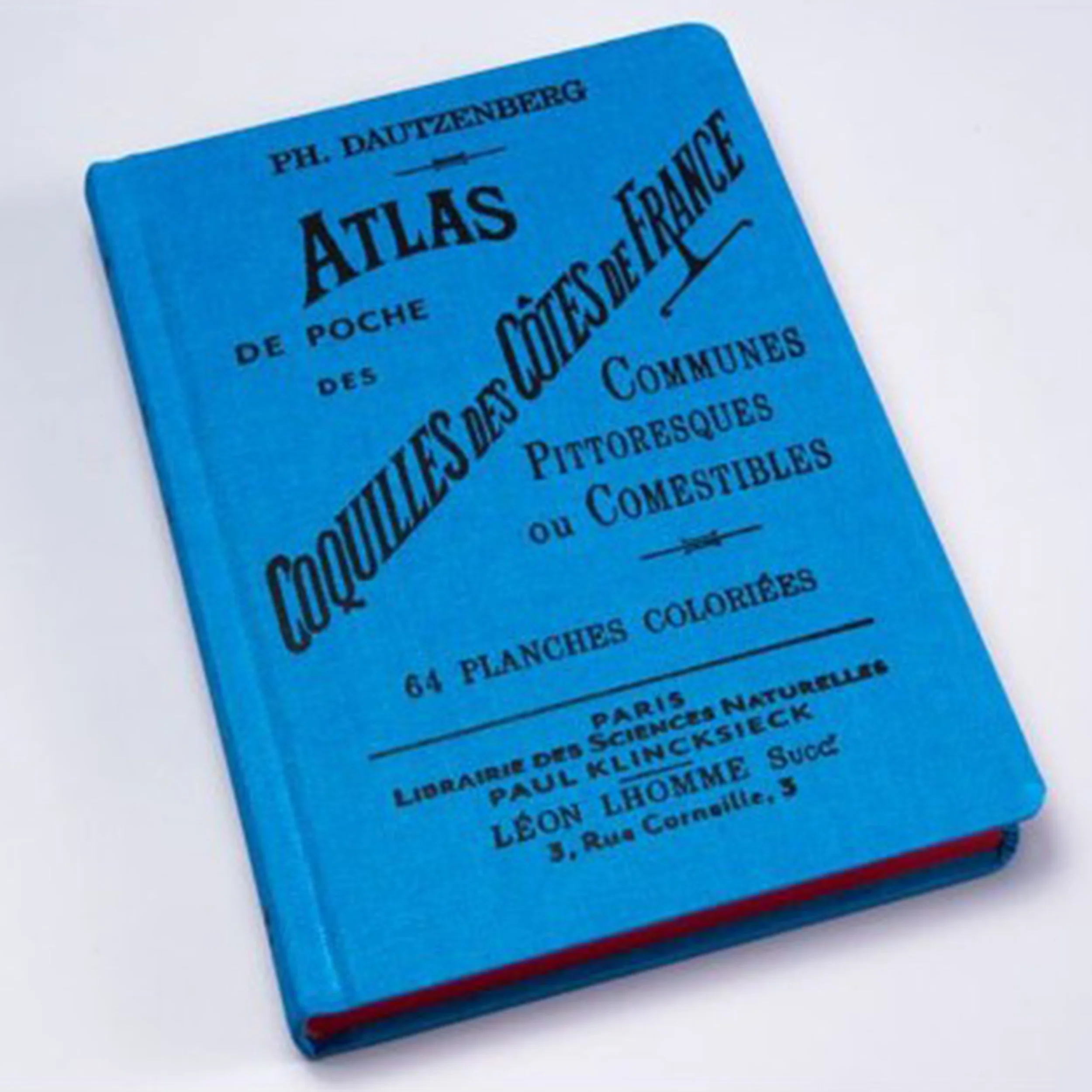 Atlas de poche des COQUILLES des côtes de France